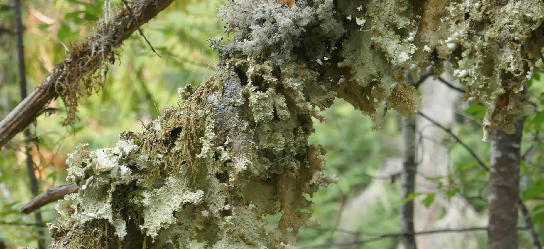 Kontakt Johannes Bradtka